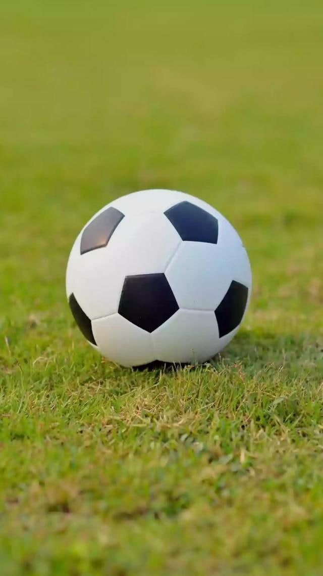 足彩赛事数据分析图表